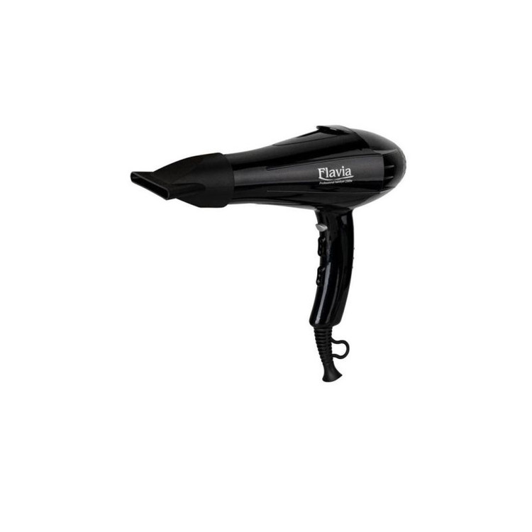 سشوار حرفه ای فلاویا مدل FL6500